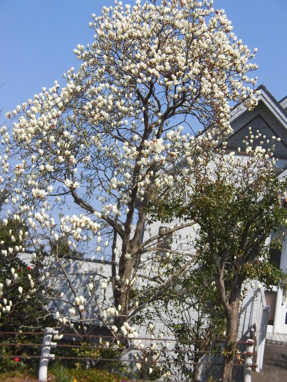 Holiday Home Apple Ито Экстерьер фото